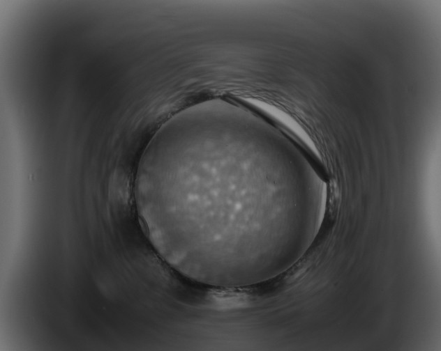 X0000085750331200703231138