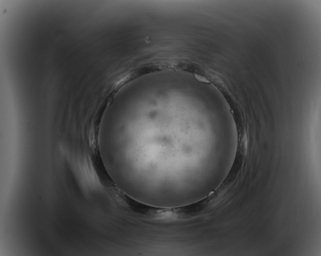 X0000085750335200703231138