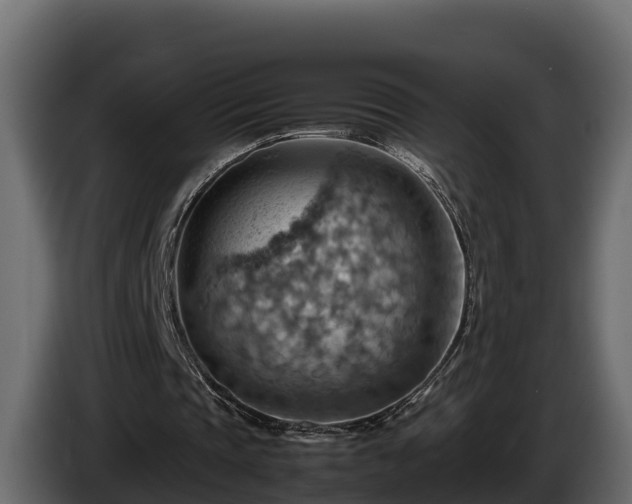 X0000085750337200703231137