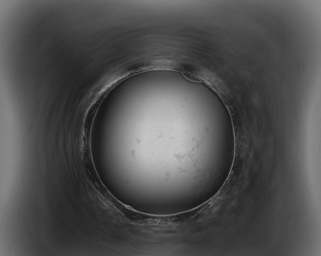 X0000085750338200703231137