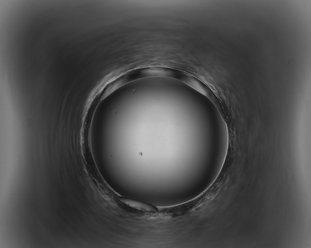 X0000085750340200703231137