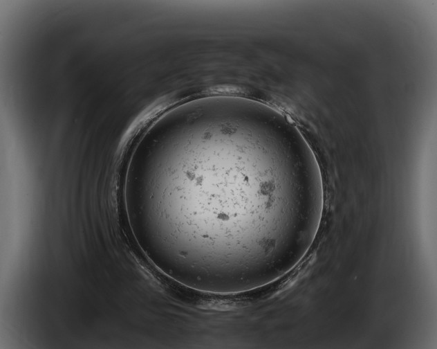 X0000085750341200703231137