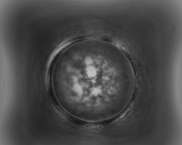 X0000085750343200703231137