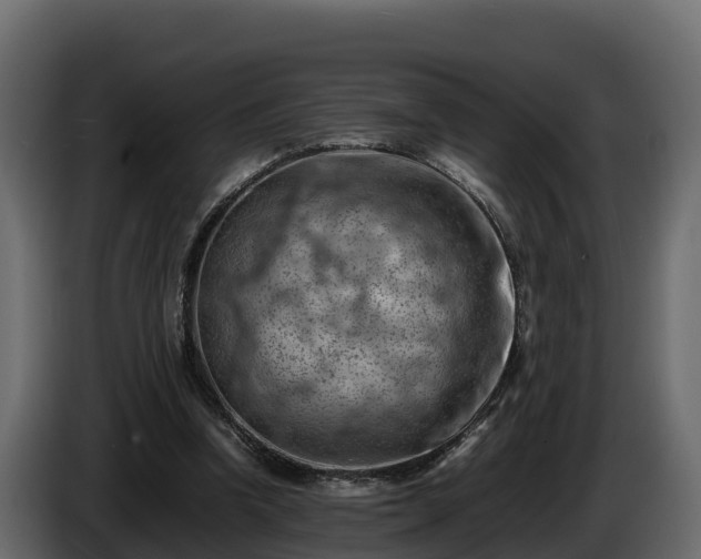 X0000085750346200703231137