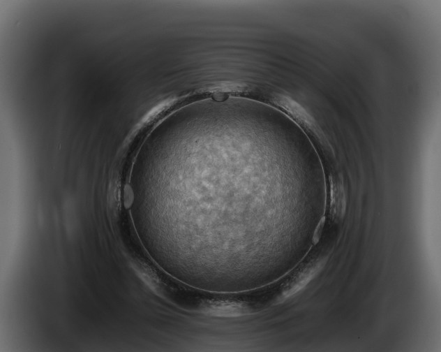 X0000085750348200703231137