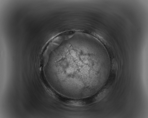 X0000085750351200703231137