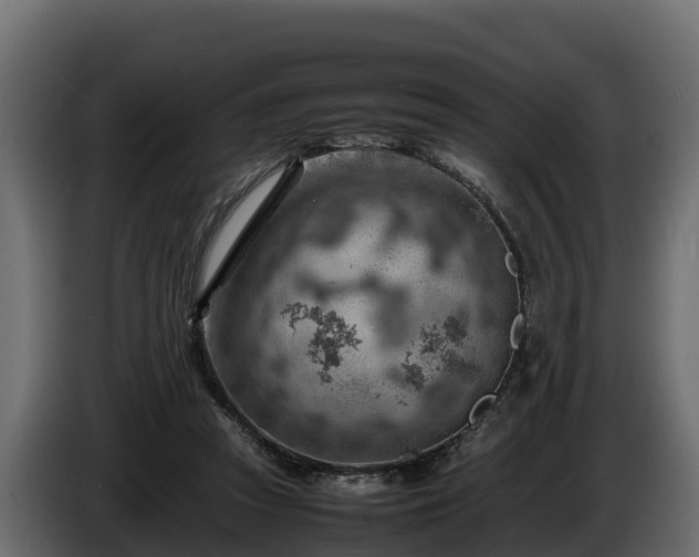 X0000085750353200703231137