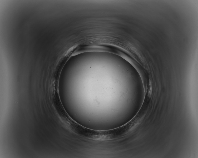 X0000085750356200703231137