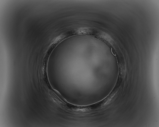 X0000085750357200703231137