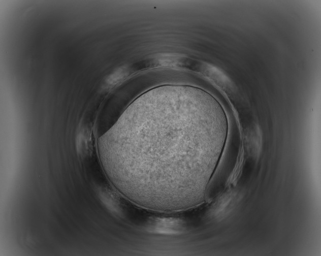 X0000085750360200703231137