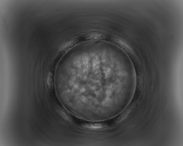 X0000085750361200703231137