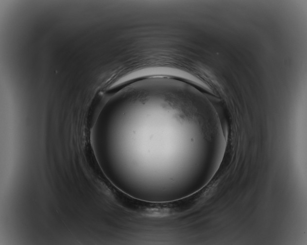 X0000085750362200703231137