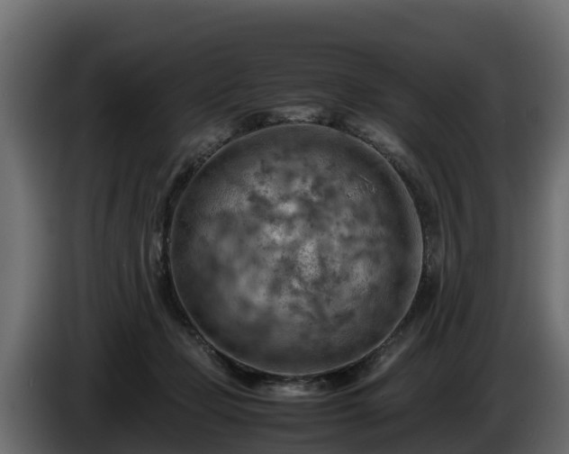 X0000085750365200703231137