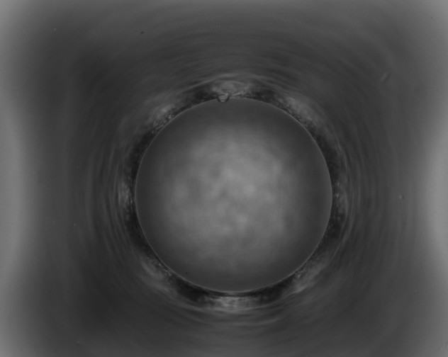 X0000085750371200703231137