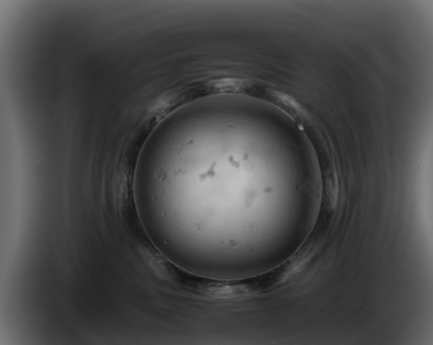 X0000085750379200703231138
