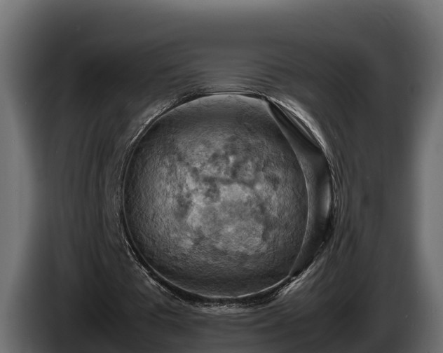 X0000085750385200703231137