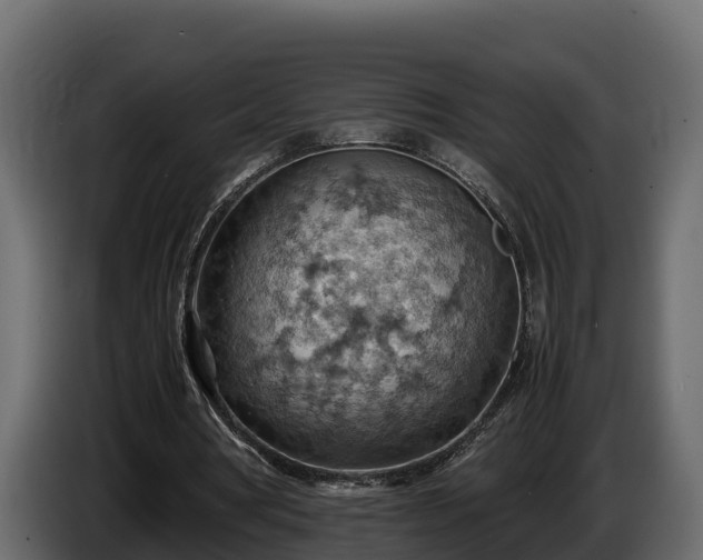 X0000085750386200703231137