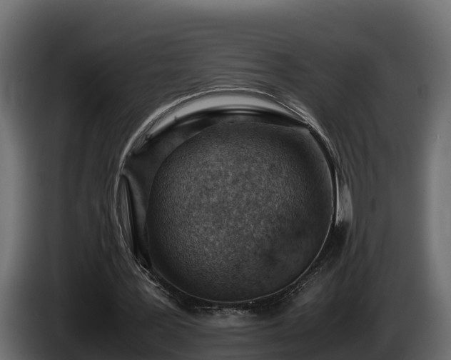 X0000085750387200703231137