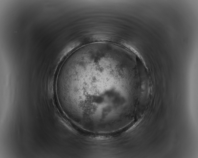 X0000085750390200703231137