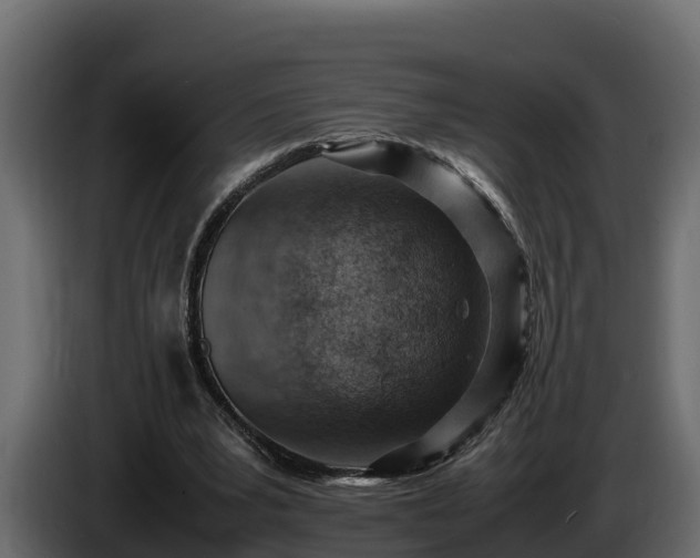 X0000085750391200703231137