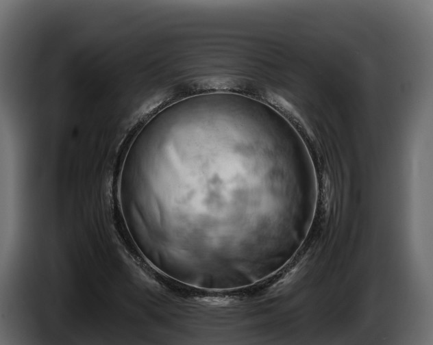 X0000085750394200703231137