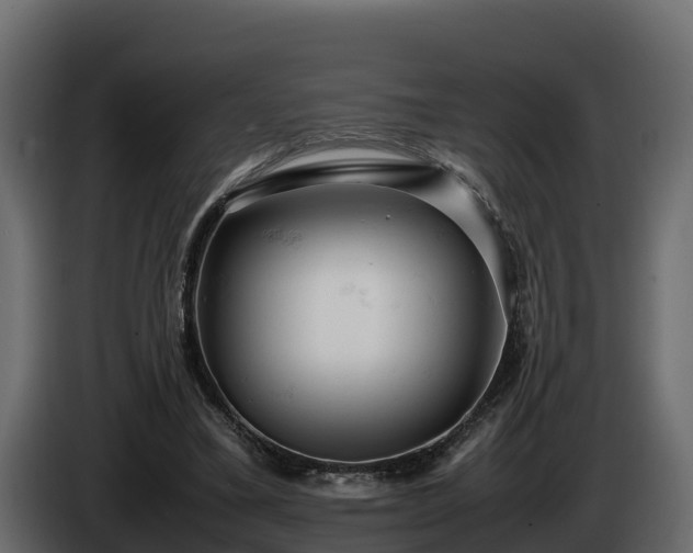 X0000085750395200703231137