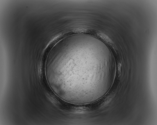X0000085750396200703231137
