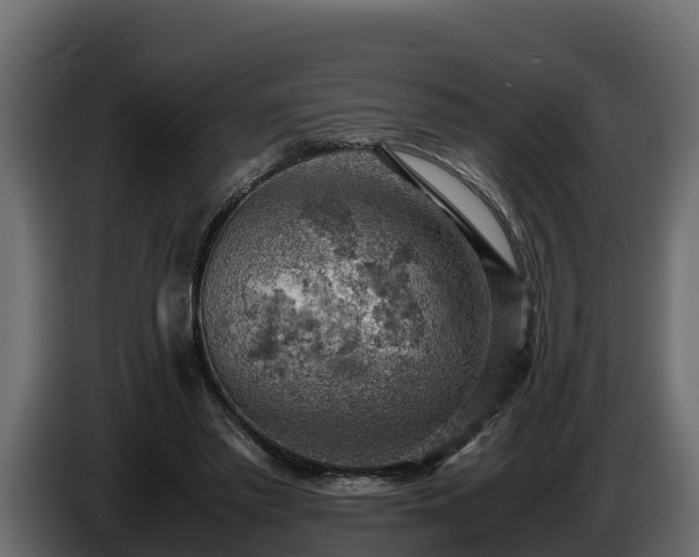 X0000085750397200703231137