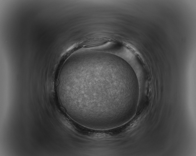 X0000085750399200703231137