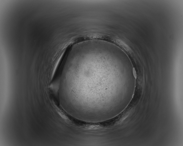 X0000085750401200703231137