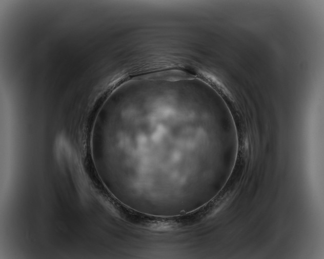 X0000085750402200703231137
