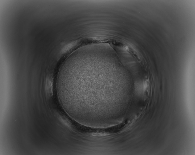 X0000085750404200703231137