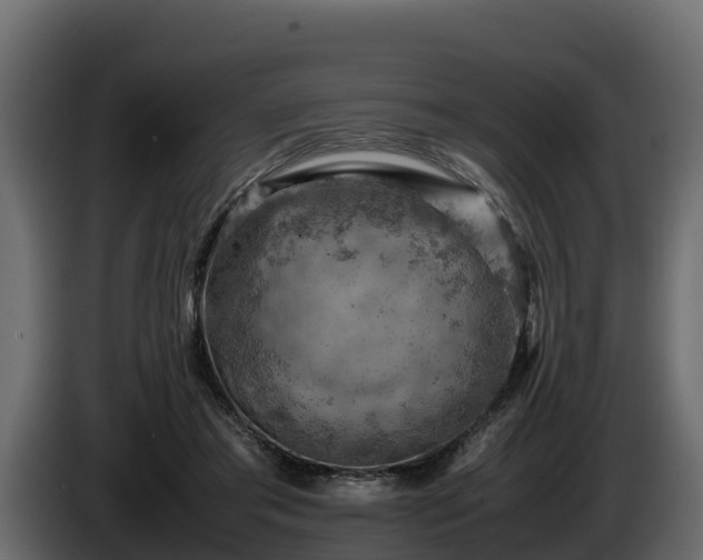 X0000085750405200703231137