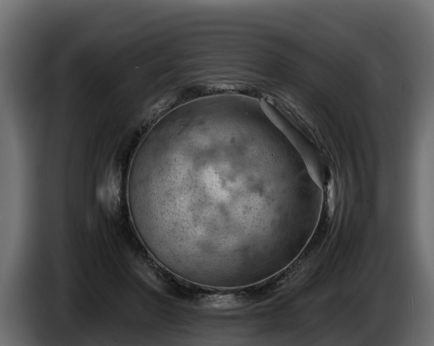 X0000085750406200703231137
