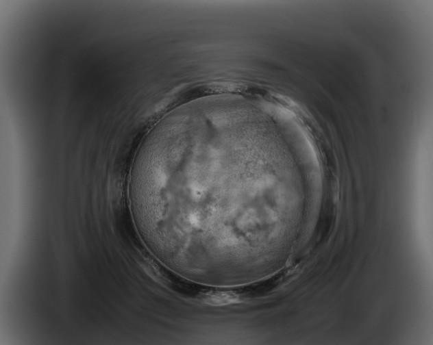 X0000085750409200703231137