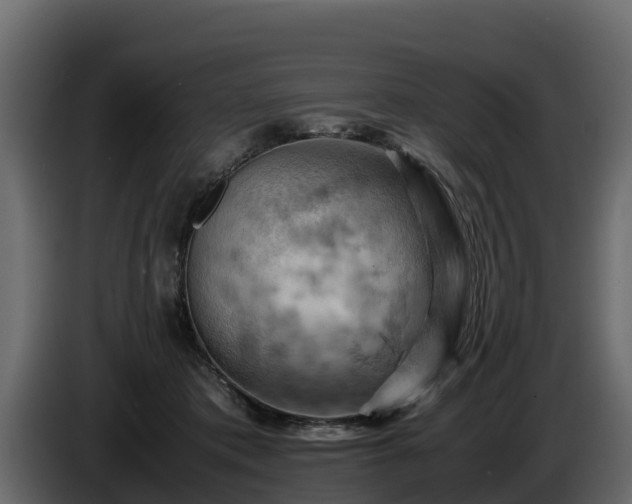 X0000085750413200703231137
