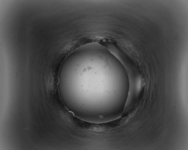 X0000085750416200703231137