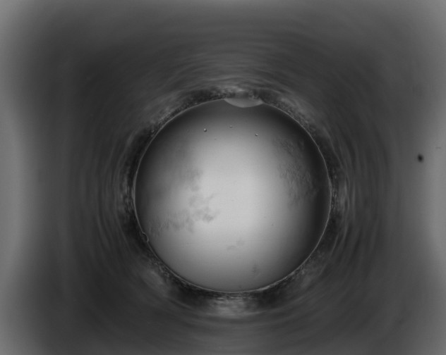 X0000085750418200703231137