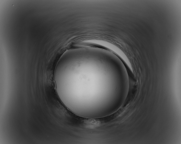 X0000085750421200703231136