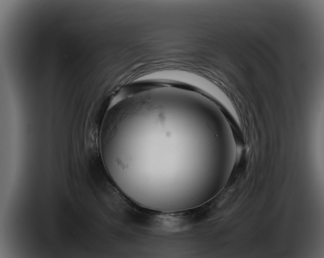 X0000085750425200703231136