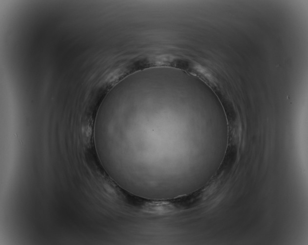 X0000085750427200703231136