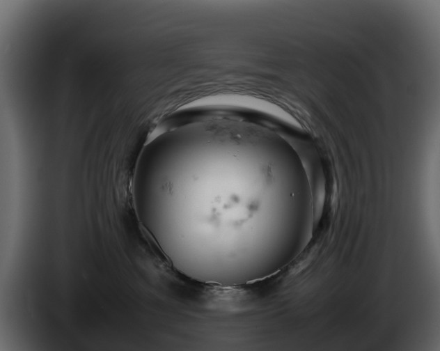 X0000085750429200703231136