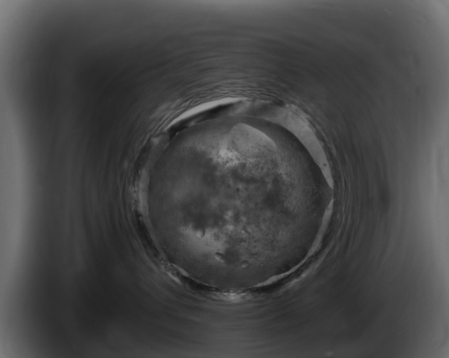 X0000085750432200703231136