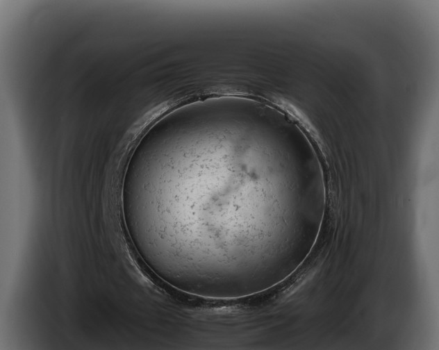 X0000085750433200703231136