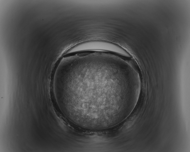 X0000085750434200703231136