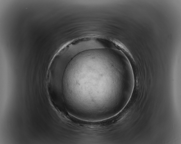 X0000085750436200703231136