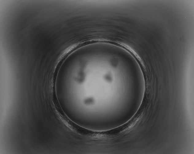 X0000085750437200703231136