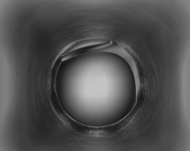 X0000085750440200703231136