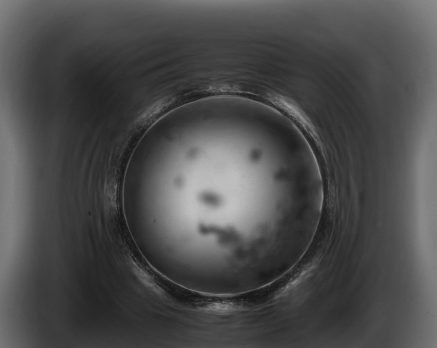 X0000085750441200703231136
