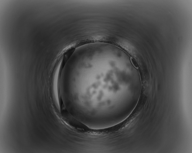 X0000085750442200703231136